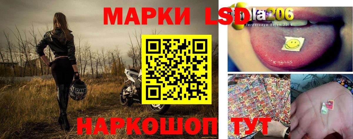 Марки NBOMe 1500мкг  Марки NBOMe 1500мкг  Вход с VPN  Зеленогорск 