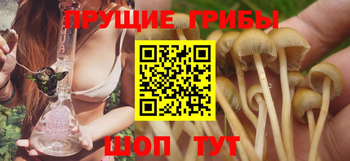 Псилоцибиновые грибы GOLDEN TEACHER Зеленогорск